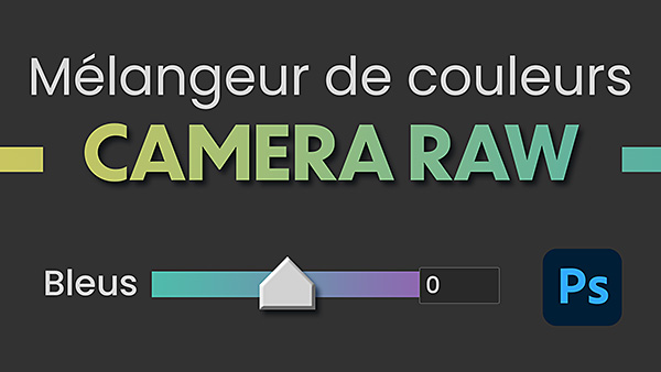 https://emmanuelcorreia.com/wp-content/uploads/2021/04/Melangeur-de-couleurs-Camera-Raw_p.jpg